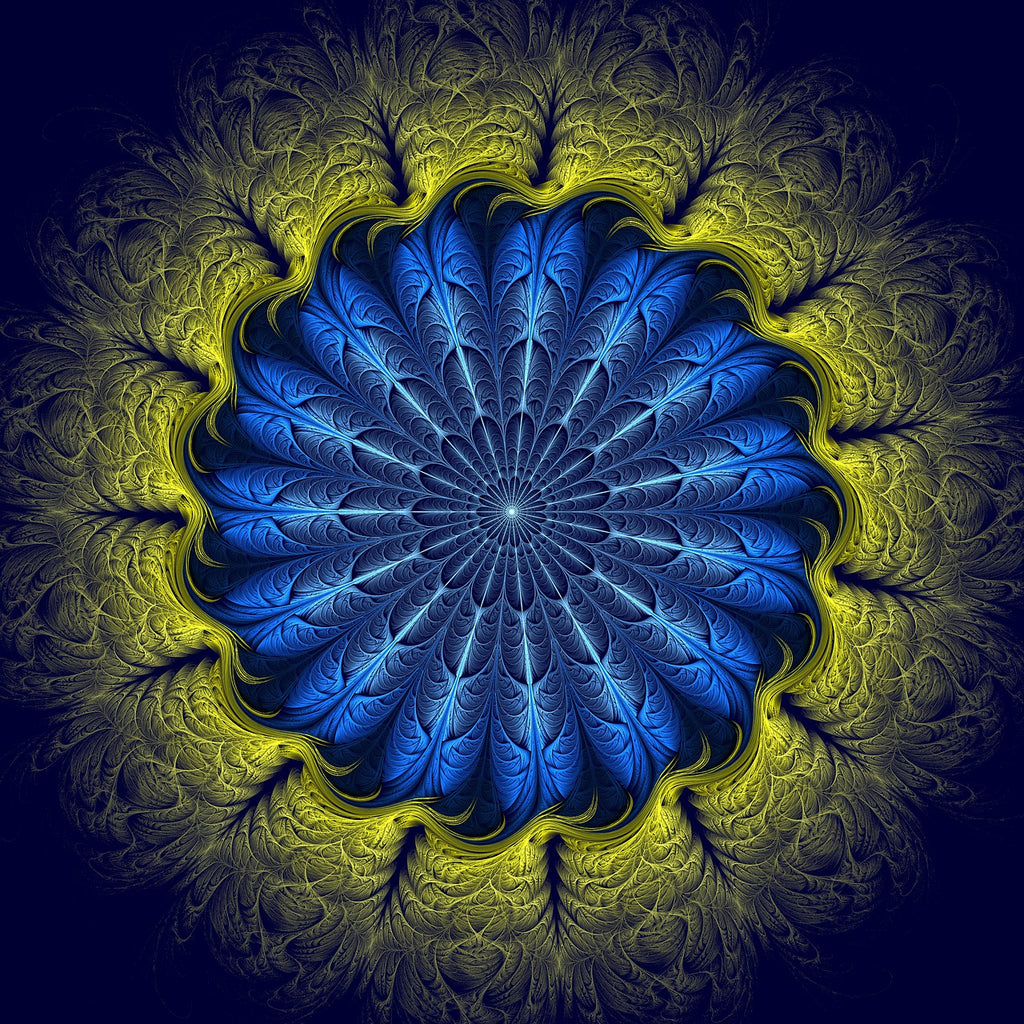 Reprogram Your Brain