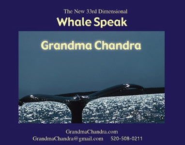 Whale Speak Audio